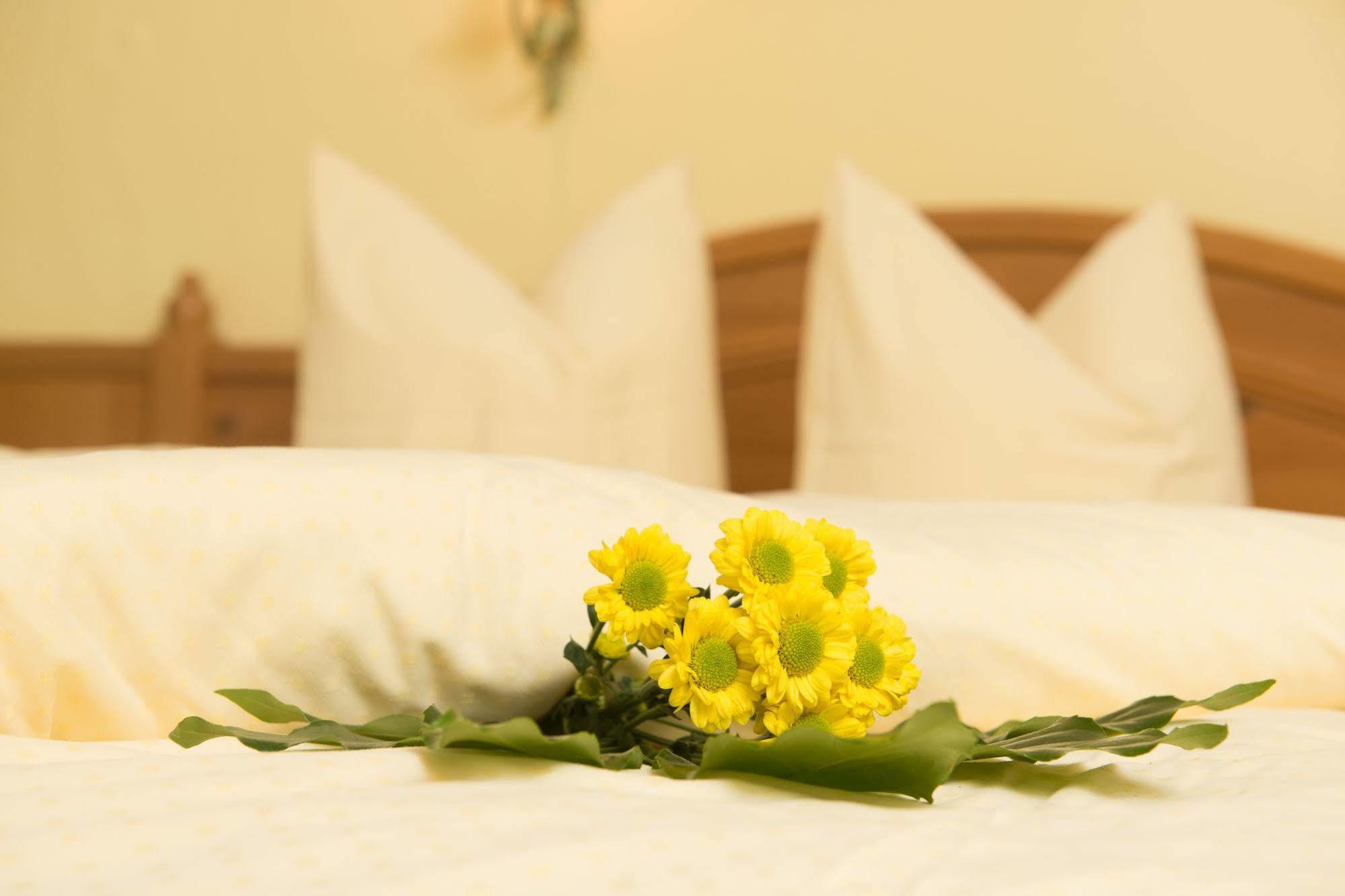 סן אנטון Apart Hotel San Antonio מראה חיצוני תמונה